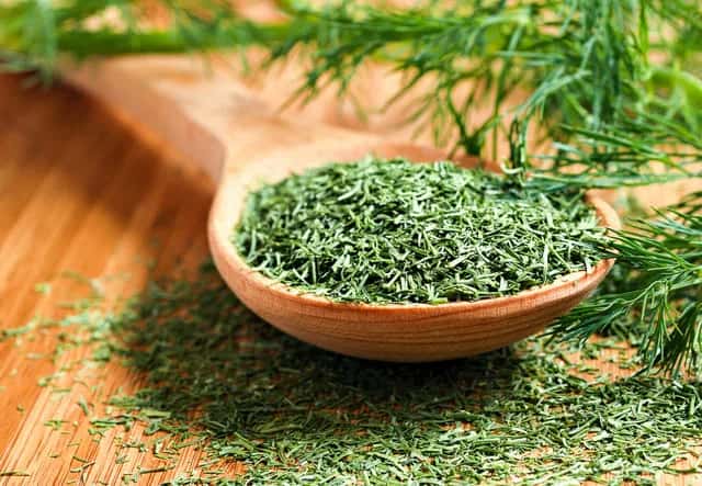 تصویر 2 از شوید خشک اعلا تهیه شده از بهترین سبزی تازه